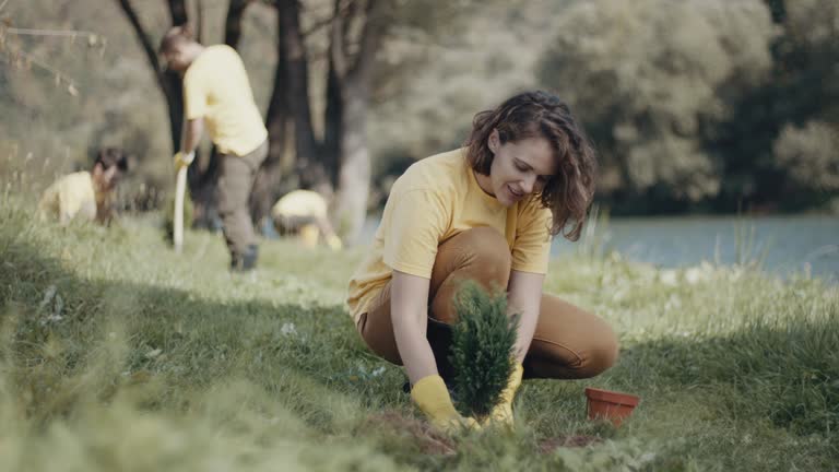 Best Lawn Pest Prevention  in El Dorado, KS